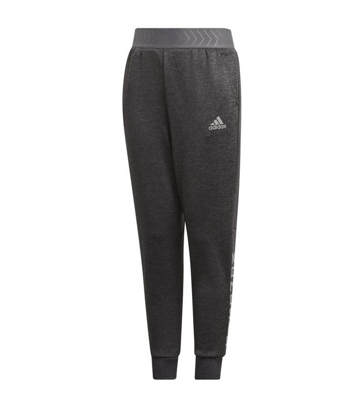 Adidas  Pantalon de survêtement gris mixte