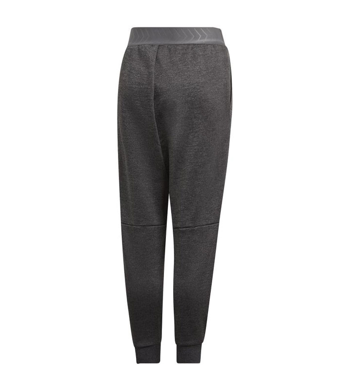 Adidas  Pantalon de survêtement gris mixte