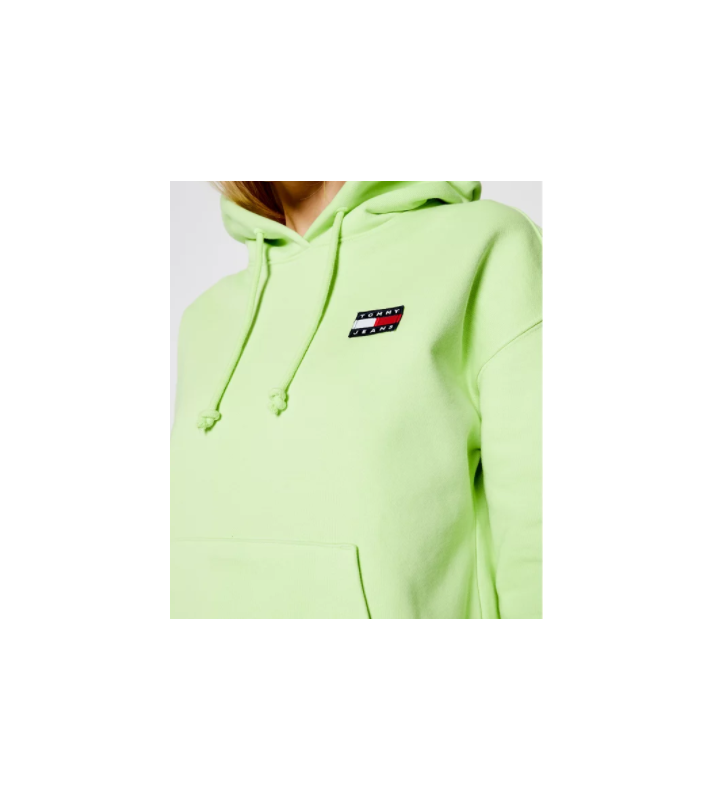 Tommy Hilfiger  Sweat à capuche vert pastel petit logo